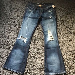 Maurices Brand - Madison Jeans